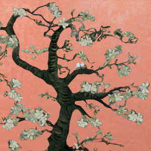 埃及人性交三级黄色大尺度视频
